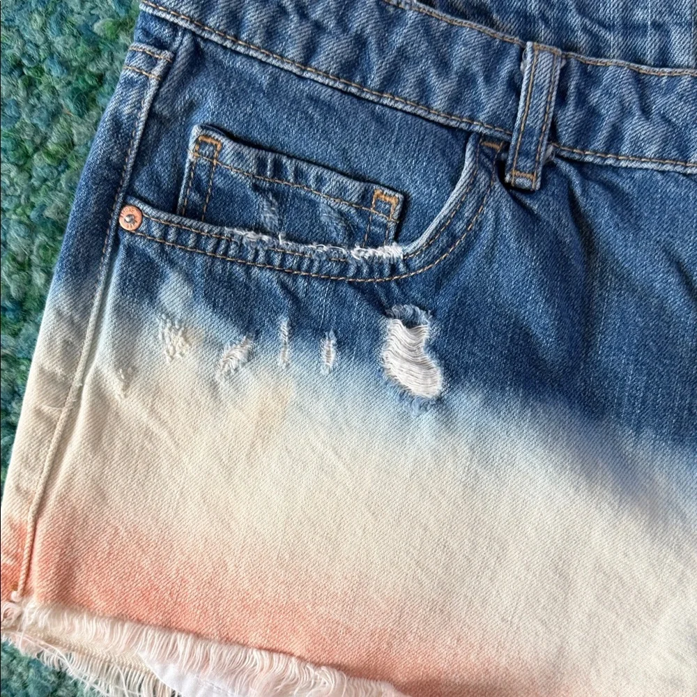 Set of 2 Free People Denim Shorts